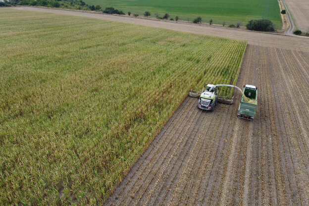 Luftaufnahme von Erntefahrzeugen auf einem Maisfeld