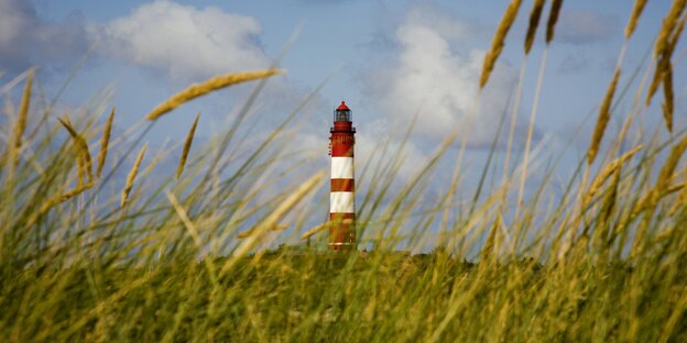 Ein Leuchtturm in der Ferne von einer Wiese aus der Froschperspektive. Ein Leuchtturm in der Ferne von einer Wiese aus der Froschperspektive.