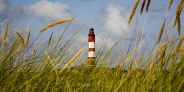 Ein Leuchtturm in der Ferne von einer Wiese aus der Froschperspektive.