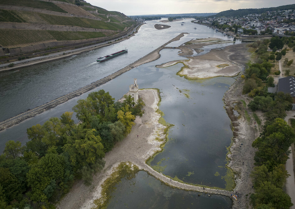 Der Rhein mit geringem Wasserstand
