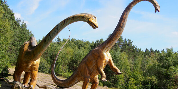 Eine Herde von Diplodocus-Sauriern Eine Herde von Diplodocus-Sauriern