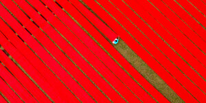 sehr lange rote Stoffbahnen liegen diagonal auf einem Feld, ein Mensch hebt den Stoff an