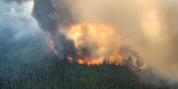 Brennender Wald aus der Luft fotografiert.
