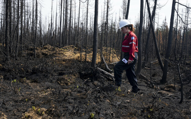 Feuerwehrfrau in abgebranntem Wald