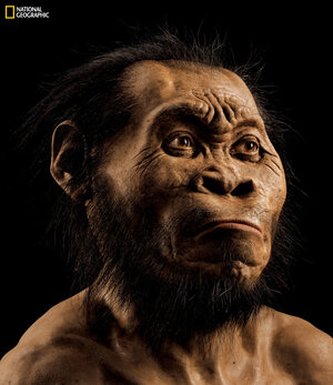 Eine Rekonstruktion des Homo Naledi Eine Rekonstruktion des Homo Naledi