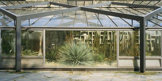 Gewächshäuser unter einer Stahlkonstruktion, drinnen sind Wüstenpflanzen zu sehen