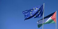 Die Flagge Palästinas und der EU an einem Fahnenmast wehen vor blauem Himmel