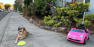 Fotografie einer Straße in Los Angeles. Der Fokus liegt auf dem Bürgersteig vor einem Wohnhaus. Rechts im Bild steht ein pinkes fahrbares Auto für Kinder. Links im Bild liegt ein Hund auf dem Asphalt, vor ihn liegt eine neongrüne, gehäkelte Frisbee