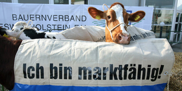 Kommentar Milchmarkt: Ohne Quote gibt es Tote