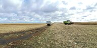 Teilweise abgeerntetes rießiges Maisfeld, der Himmel wolkenverhangen und eine Erntemaschine und ein Lastwagen stehen verloren auf dem Feld