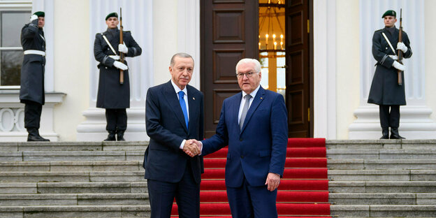Presidents Erdogan and Steinmeier shake hands.
