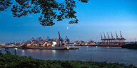 Ein Containerschiff vor den Kränen des Hamburger Hafens