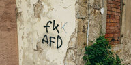 Graffiti gegen die AfD auf einer Häuserwand in Meißen