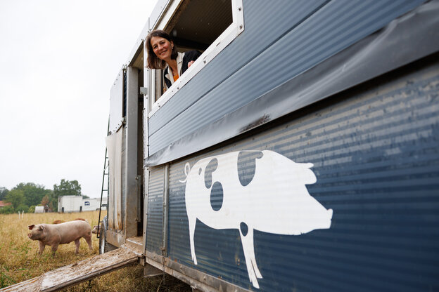 Niedersachsens Agrarministerin Miriam Staudte (Grüne) guckt aus dem Fenster eines mobilen Schweinestalls.