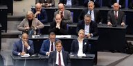 Die AfD-Fraktion im Deutschen Bundestag
