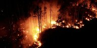 Flammen schlagen bei Nacht in einem Waldstück nahe Jüterbog in die Höhe