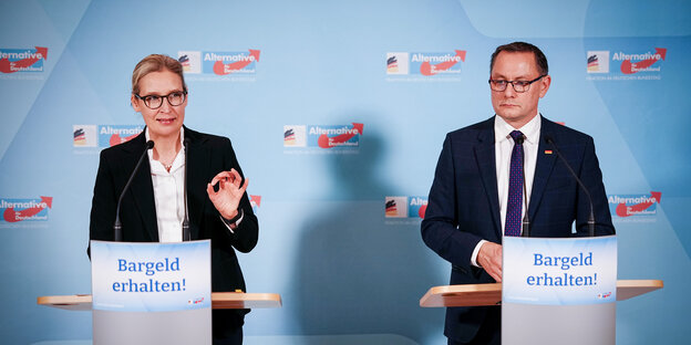 Alice Weidel and Tino Chrupalla, in the Bundestag, with an AfD poster in front 