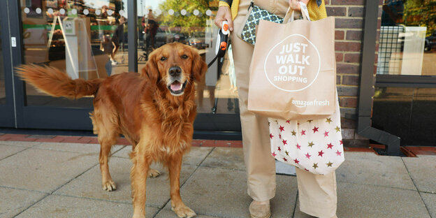 A dog next to a woman holding an Amazon shopping bag