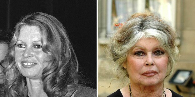 Brigitte Bardot 1979 und 2013