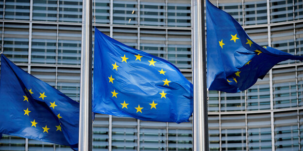 EU-Flaggen vor einem Gebäude.