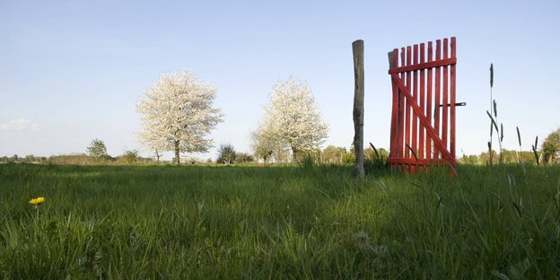 Ein rotes Gittertor steht auf einer Rasenfläche, im Hintergrund Bäume Ein rotes Gittertor steht auf einer Rasenfläche, im Hintergrund Bäume