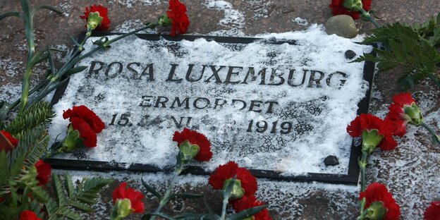 Nelken und Schnee liegen auf dem Grab vo Rosa Luxemburg. Nelken und Schnee liegen auf dem Grab vo Rosa Luxemburg.