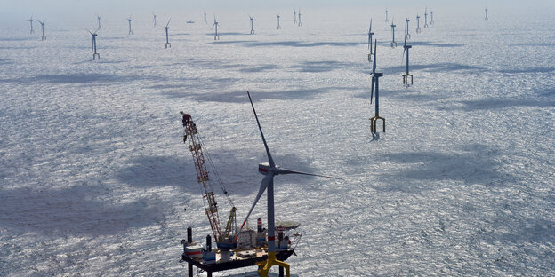 Windräder im Wasser Windräder im Wasser