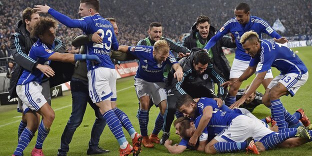 Schalke-Spieler feiern auf dem Rasen.