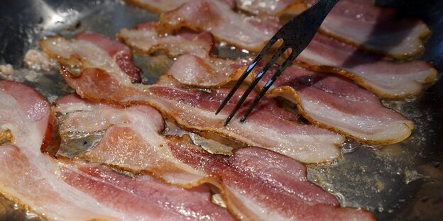 Gebratener Speck mit extra viel Fett Gebratener Speck mit extra viel Fett
