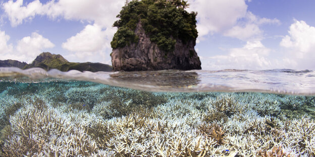 Ausgebleichte Korallen bei Samoa. Ausgebleichte Korallen bei Samoa.
