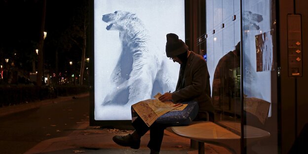 In einer Bushaltestelle hängt ein Poster mit einem Eisbären, daneben sitzt ein Mann In einer Bushaltestelle hängt ein Poster mit einem Eisbären, daneben sitzt ein Mann