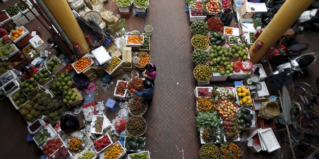 Viel Obst und Gemüse.