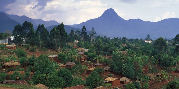 Das Chimanimani-Gebirge Das Chimanimani-Gebirge