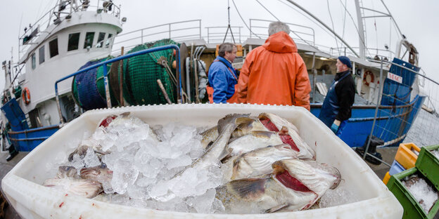 Eine Kiste voll gekühlter Dorsche steht vor einem Fischkutter. Eine Kiste voll gekühlter Dorsche steht vor einem Fischkutter.