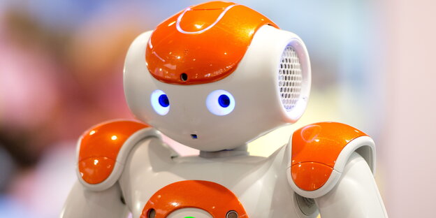 Das Roboter-Modell „Nao“ Das Roboter-Modell „Nao“