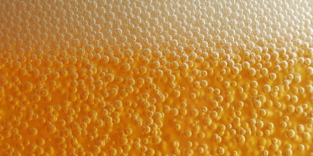 Blasen in einem Bierglas Blasen in einem Bierglas
