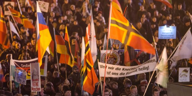 Pegida-Demonstranten in Dresden Pegida-Demonstranten in Dresden
