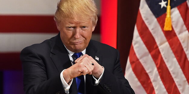 Donald Trump in Boxerpose neben der amerikanischen Flagge Donald Trump in Boxerpose neben der amerikanischen Flagge