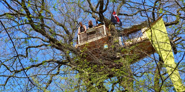 Ein Baumhaus im Hambacher Forst. Ein Baumhaus im Hambacher Forst.