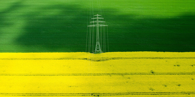 Der Mast einer Hochspannungsleitung steht zwischen einem gelbem Rapsfeld und einem angrenzenden grünen Feld Der Mast einer Hochspannungsleitung steht zwischen einem gelbem Rapsfeld und einem angrenzenden grünen Feld