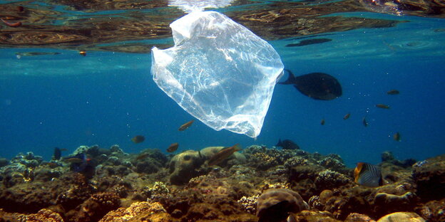 eine Plastiktüte treibt über einem Korallenriff eine Plastiktüte treibt über einem Korallenriff