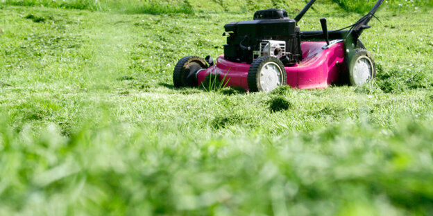 Ein Rasenmäher und gemähtes Gras Ein Rasenmäher und gemähtes Gras