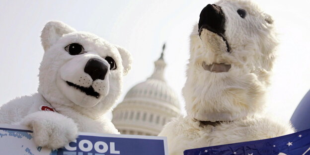 Zwei als Eisbären verkleidete Aktivisten vor dem Kapitol in Washington Zwei als Eisbären verkleidete Aktivisten vor dem Kapitol in Washington