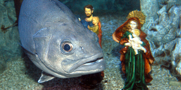 Maria und Josefneben Barsch Maria und Josefneben Barsch