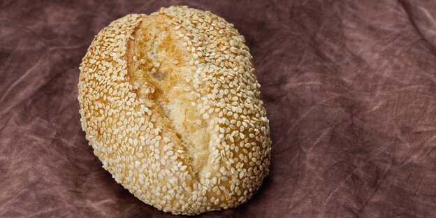 Sesambrötchen auf Samtunterlage Sesambrötchen auf Samtunterlage