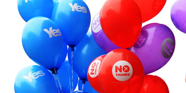 Blaue, rote und lilafarbene Luftballons, auf denen „Yes“ oder „No“ steht Blaue, rote und lilafarbene Luftballons, auf denen „Yes“ oder „No“ steht