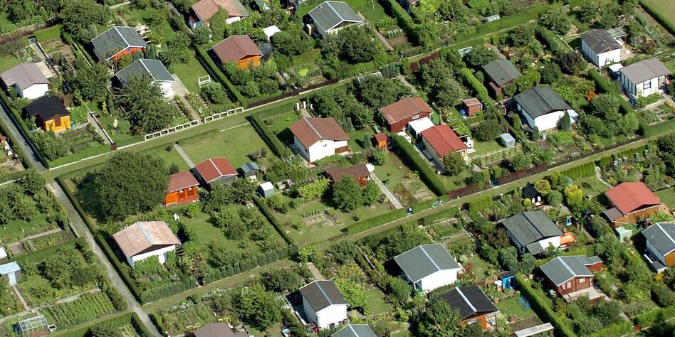 das-war-die-woche-in-berlin-i-kulturkampf-der-zwerge-taz-de