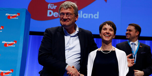 Meuthen und Petry