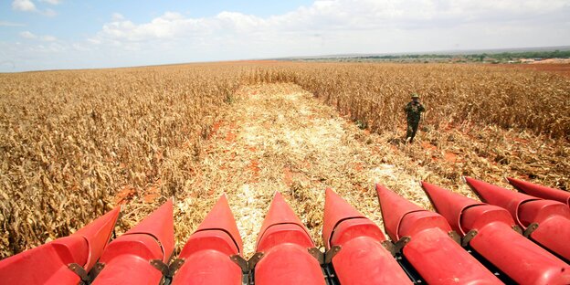 Erntemaschine in einem Feld Erntemaschine in einem Feld