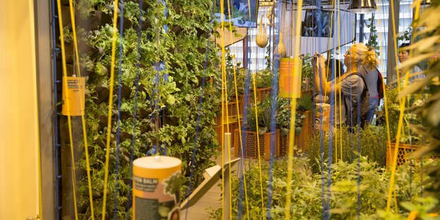 Ausstellungsobjekt: urban gardening Ausstellungsobjekt: urban gardening